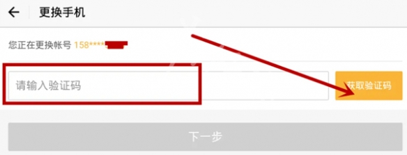 网6